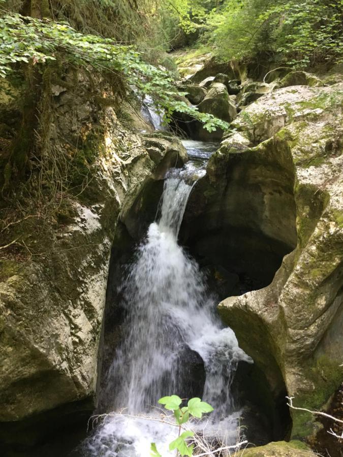 Chambres D'Hotes Des Bauges Route 26 57 La Motte-en-Beauges ภายนอก รูปภาพ